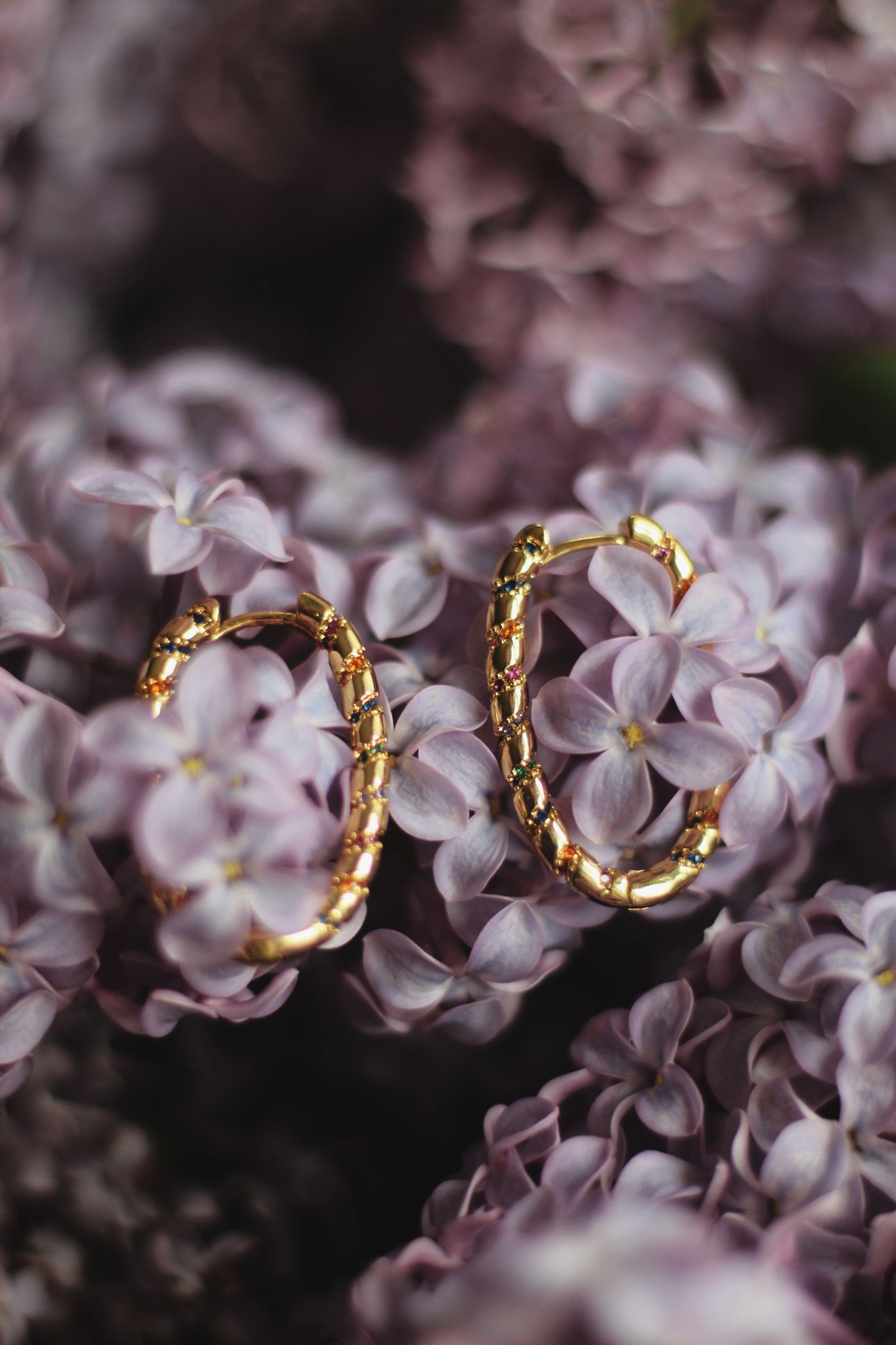 Gold hoop earrings resting among lilac blossom